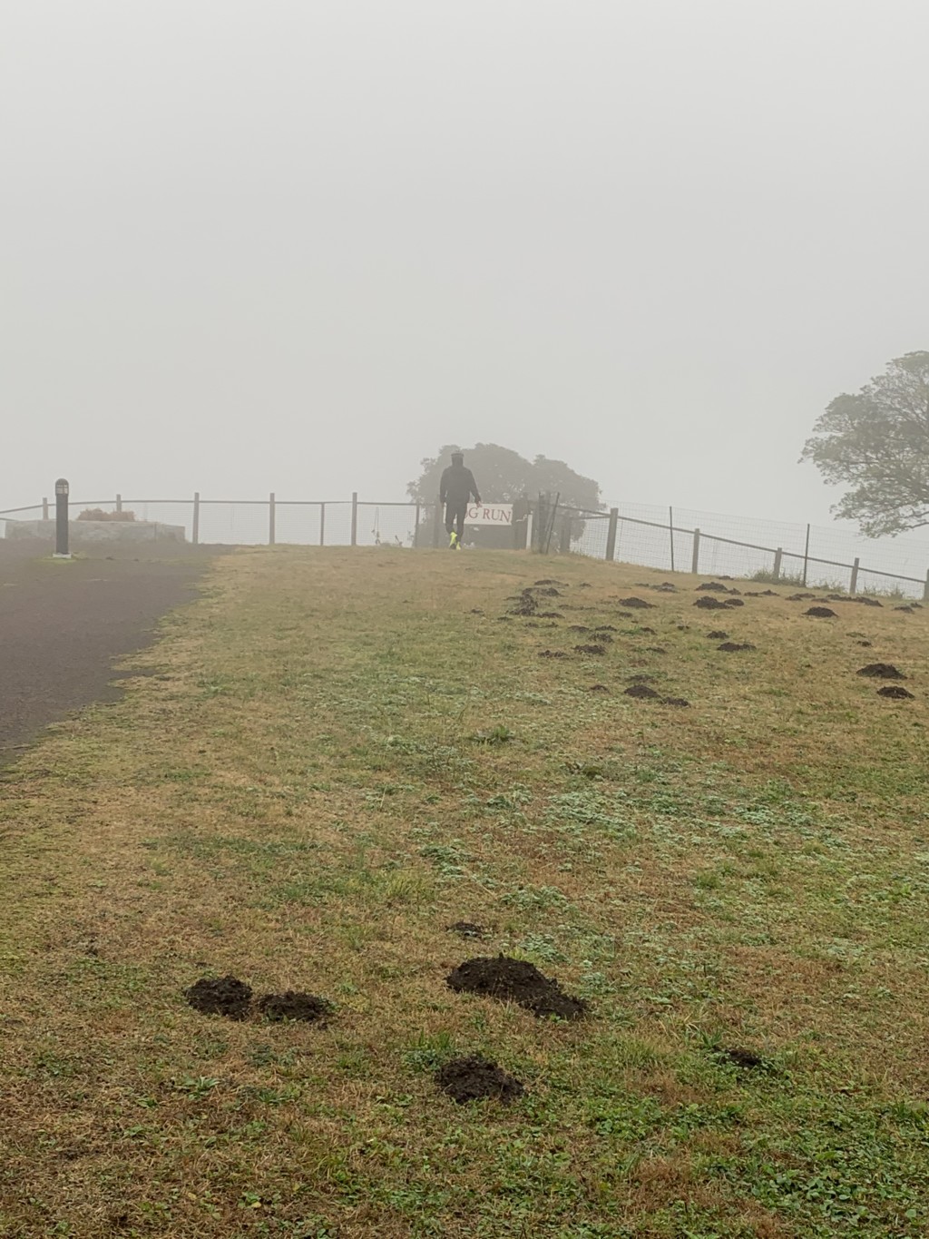 普遍・不変なノウハウ
