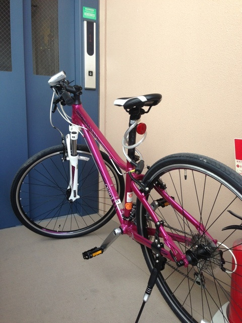 スポーツ＝仕事…ガチョウを育てるように